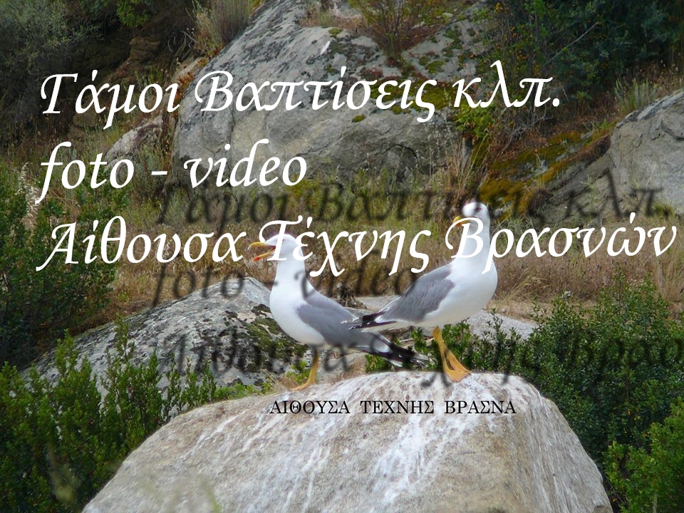 1794747_471128056411123_2056641672453799807_n (3)