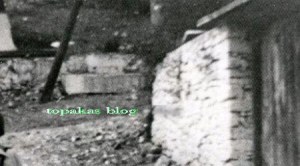 cf83ceaccf81cf89cf83ceb70002-1-1