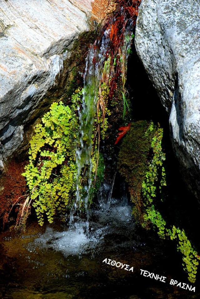 28577457_771842536339672_1744427048711385610_n