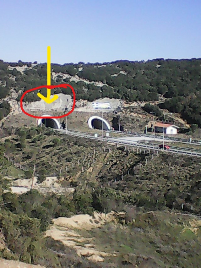 InkedPhoto0588_LI (2)