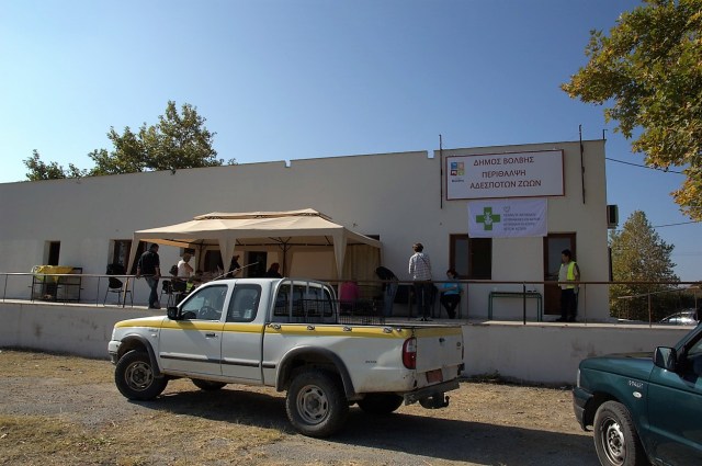 perithalpsi_adespoton_2017_DSC_4549