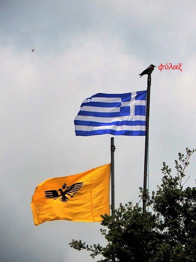 60813292_789118794803080_7501068199580925952_n